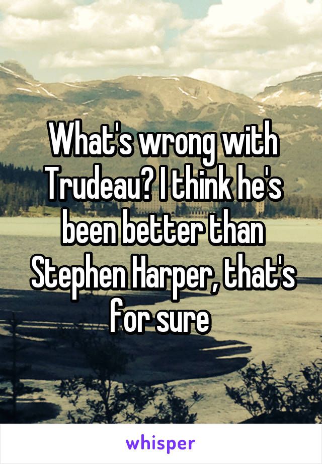 What's wrong with Trudeau? I think he's been better than Stephen Harper, that's for sure 