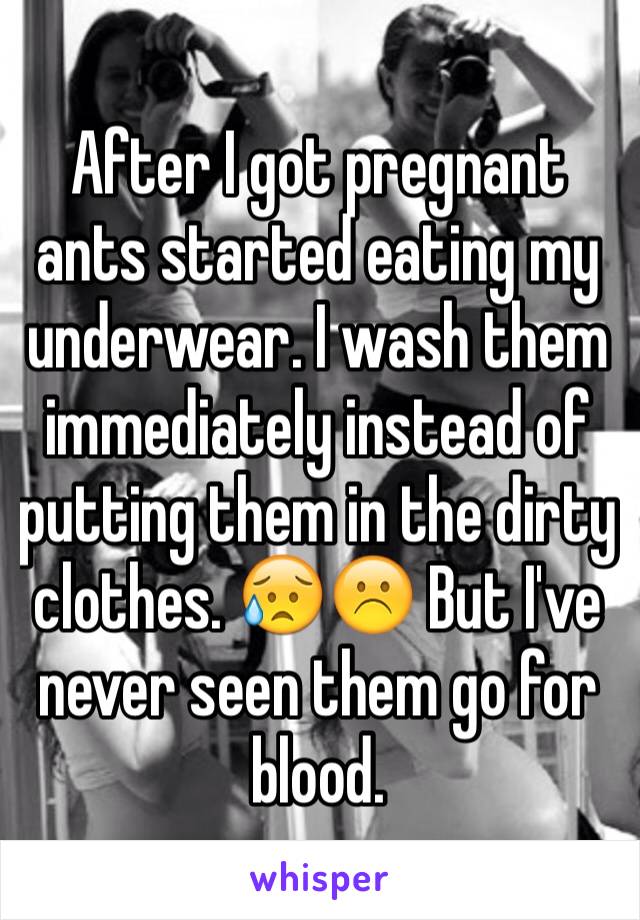 After I got pregnant ants started eating my underwear. I wash them immediately instead of putting them in the dirty clothes. 😥☹️ But I've never seen them go for blood.