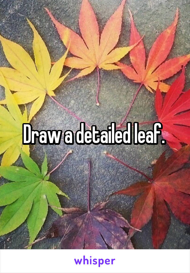 Draw a detailed leaf. 