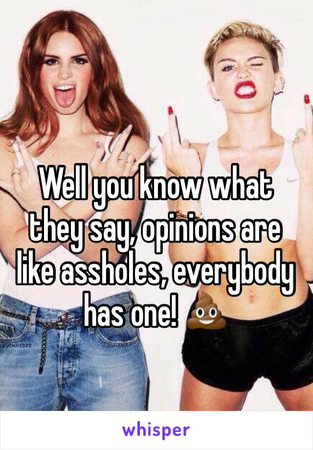 Well you know what they say, opinions are like assholes, everybody has one! 💩