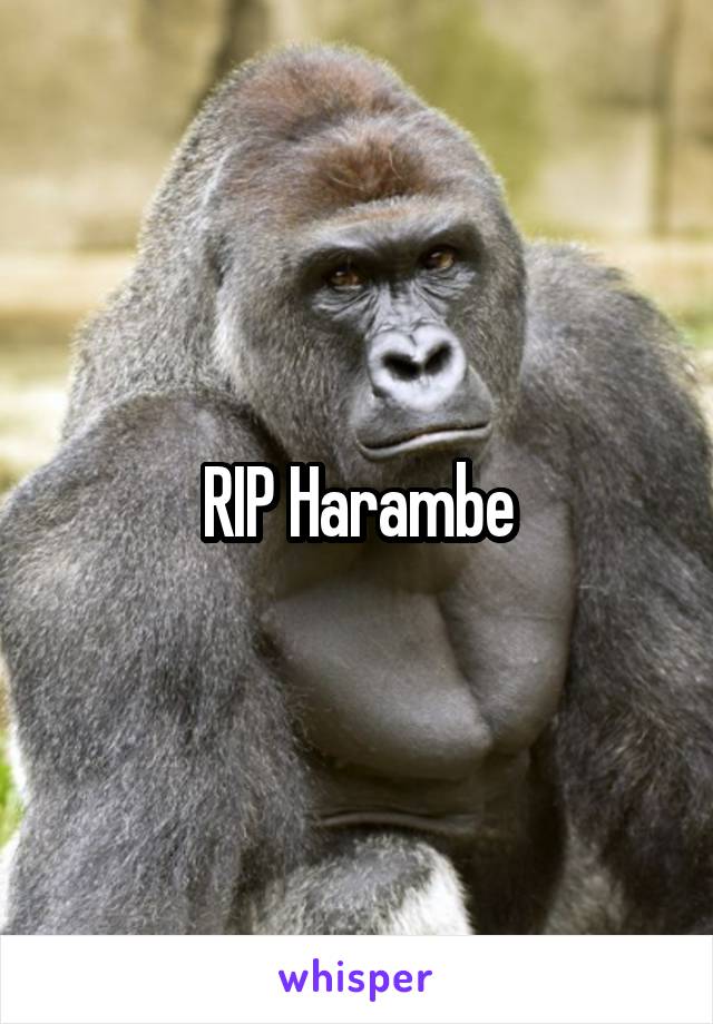 RIP Harambe