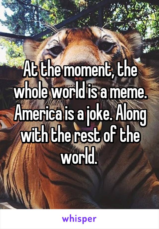 At the moment, the whole world is a meme. America is a joke. Along with the rest of the world. 