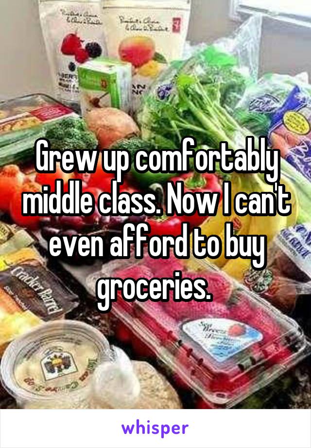 Grew up comfortably middle class. Now I can't even afford to buy groceries. 