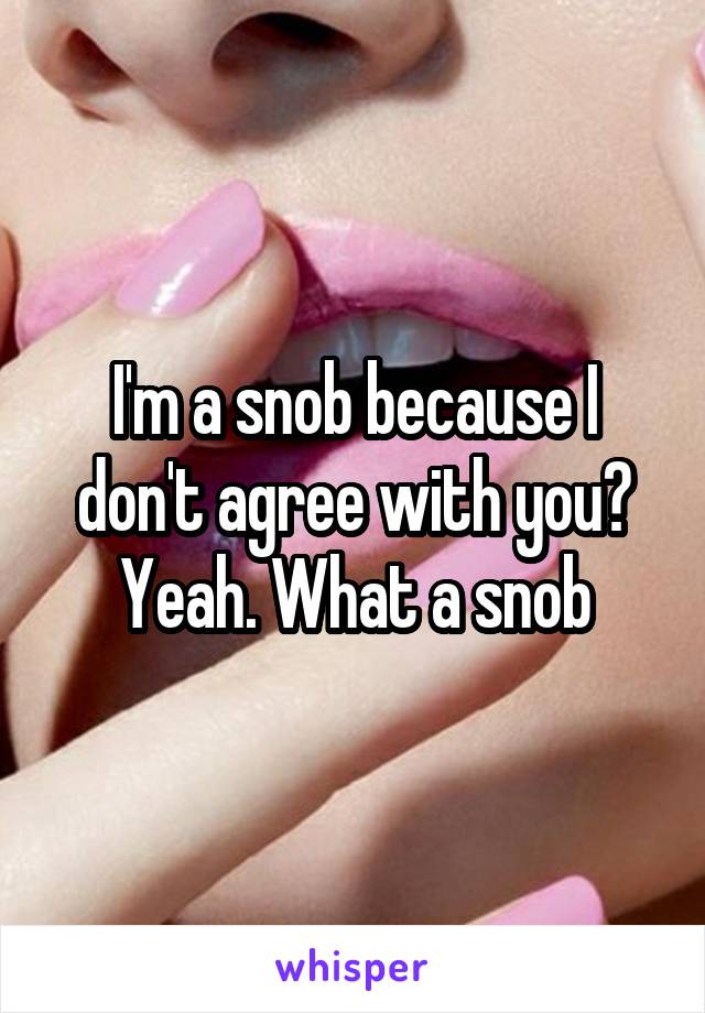 I'm a snob because I don't agree with you? Yeah. What a snob