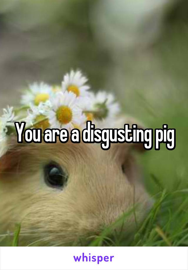 You are a disgusting pig