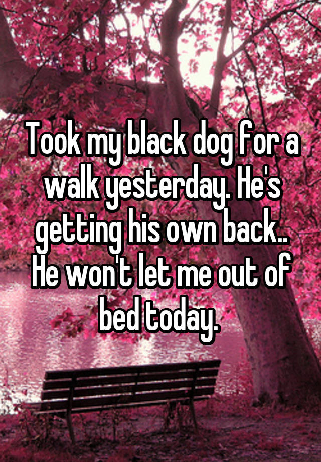 took-my-black-dog-for-a-walk-yesterday-he-s-getting-his-own-back-he-won-t-let-me-out-of-bed