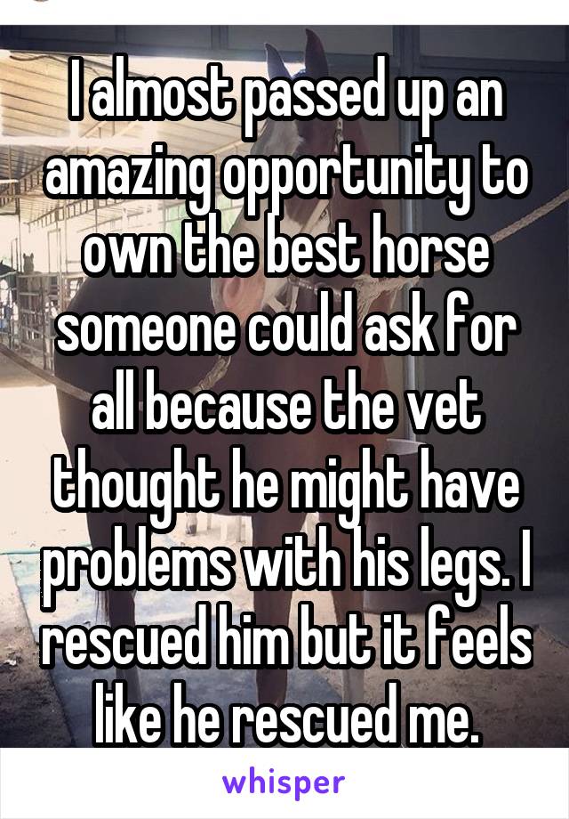 I almost passed up an amazing opportunity to own the best horse someone could ask for all because the vet thought he might have problems with his legs. I rescued him but it feels like he rescued me.