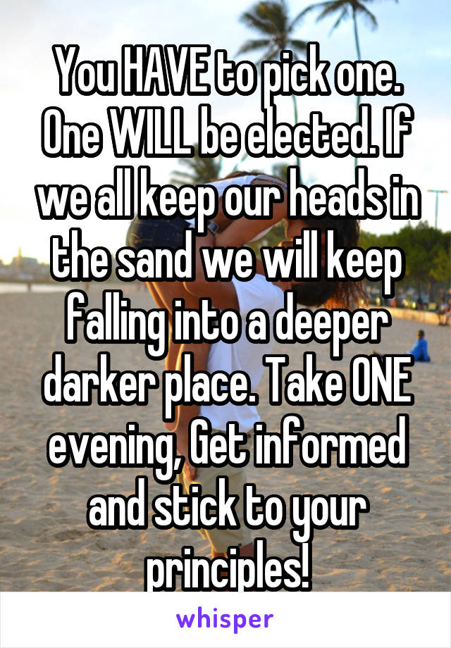 You HAVE to pick one. One WILL be elected. If we all keep our heads in the sand we will keep falling into a deeper darker place. Take ONE evening, Get informed and stick to your principles!