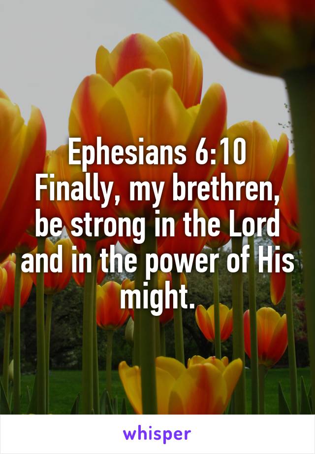 Ephesians 6:10
Finally, my brethren, be strong in the Lord and in the power of His might.