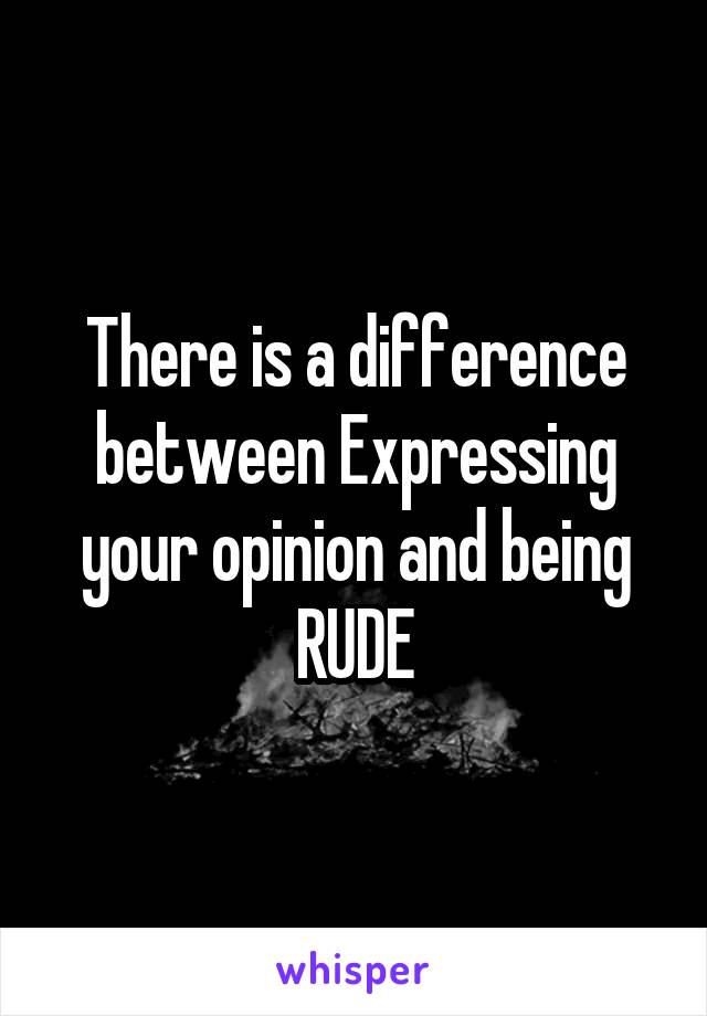 There is a difference between Expressing your opinion and being RUDE