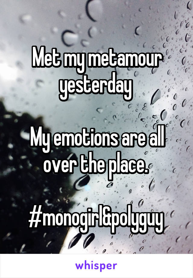 Met my metamour yesterday 

My emotions are all over the place. 

#monogirl&polyguy 