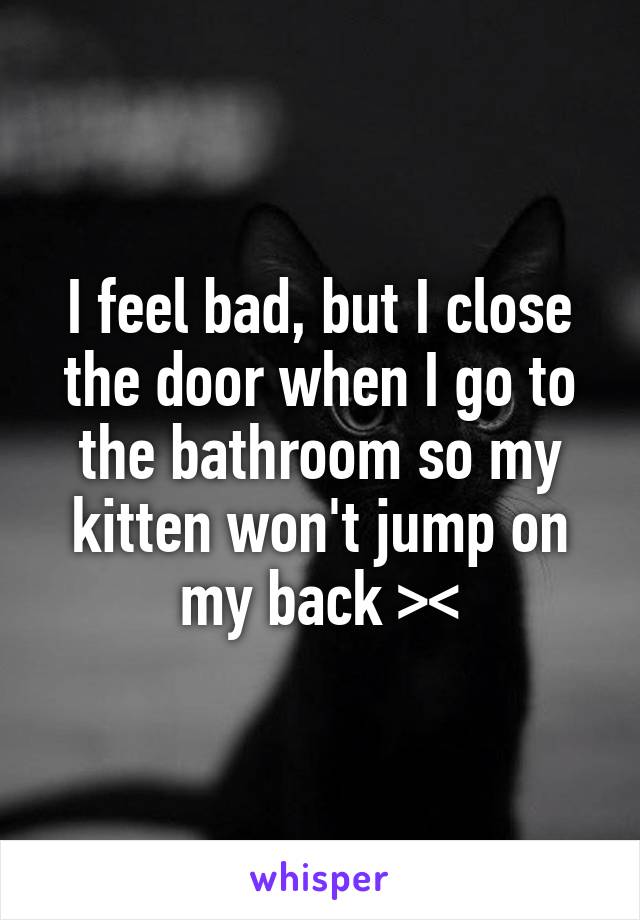 I feel bad, but I close the door when I go to the bathroom so my kitten won't jump on my back ><