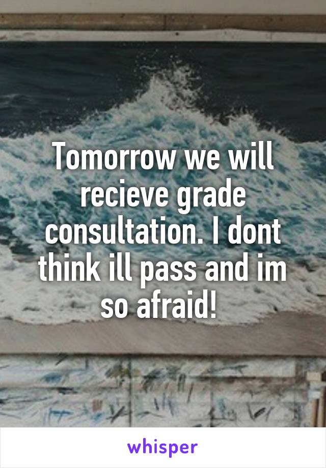 Tomorrow we will recieve grade consultation. I dont think ill pass and im so afraid! 