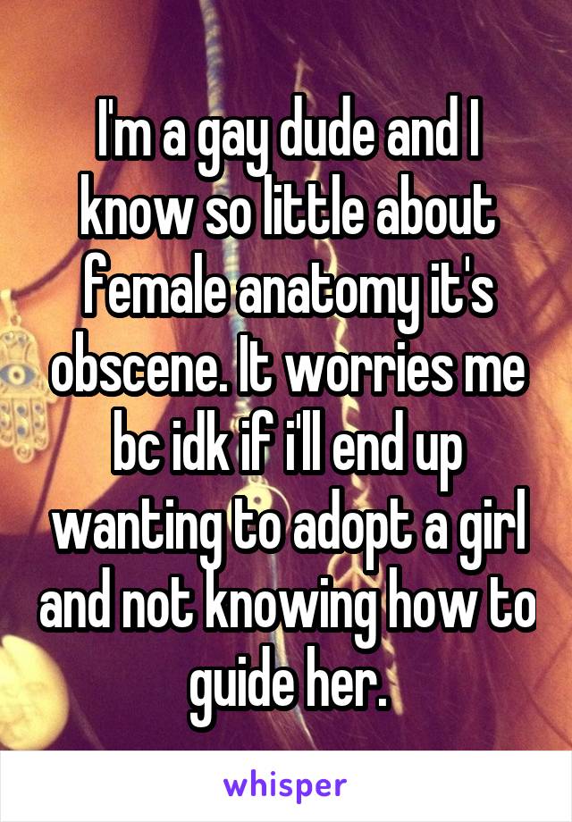 I'm a gay dude and I know so little about female anatomy it's obscene. It worries me bc idk if i'll end up wanting to adopt a girl and not knowing how to guide her.