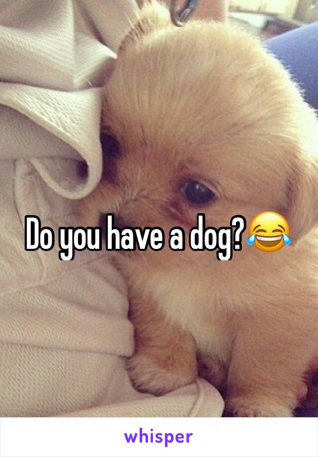 Do you have a dog?😂