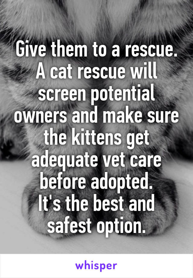 Give them to a rescue.
A cat rescue will screen potential owners and make sure the kittens get adequate vet care before adopted.
It's the best and safest option.