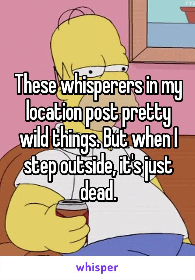 These whisperers in my location post pretty wild things. But when I step outside, it's just dead.