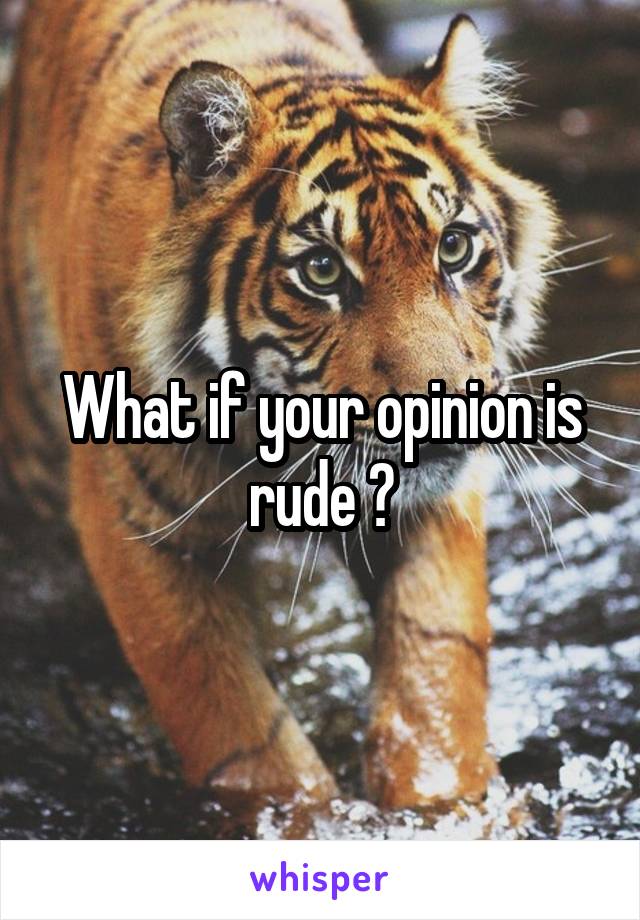What if your opinion is rude ?