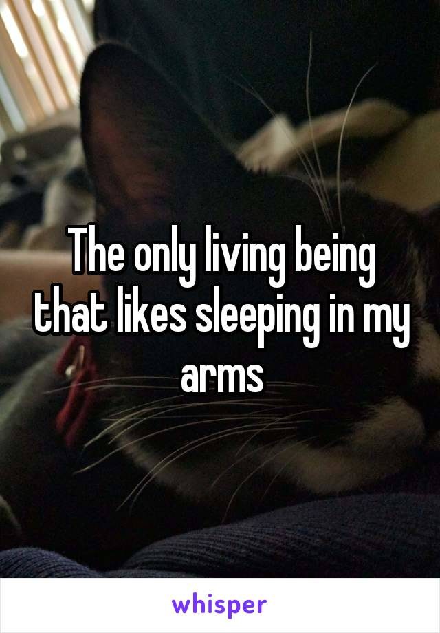 The only living being that likes sleeping in my arms