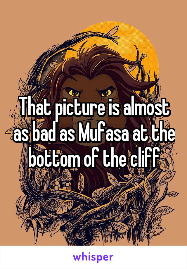 That picture is almost as bad as Mufasa at the bottom of the cliff