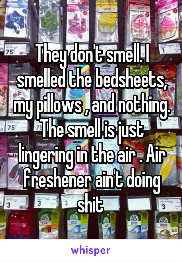 They don't smell. I smelled the bedsheets, my pillows , and nothing. The smell is just lingering in the air . Air freshener ain't doing shit 