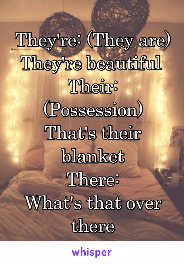 They're: (They are) They're beautiful 
Their: (Possession)
That's their blanket
There:
What's that over there