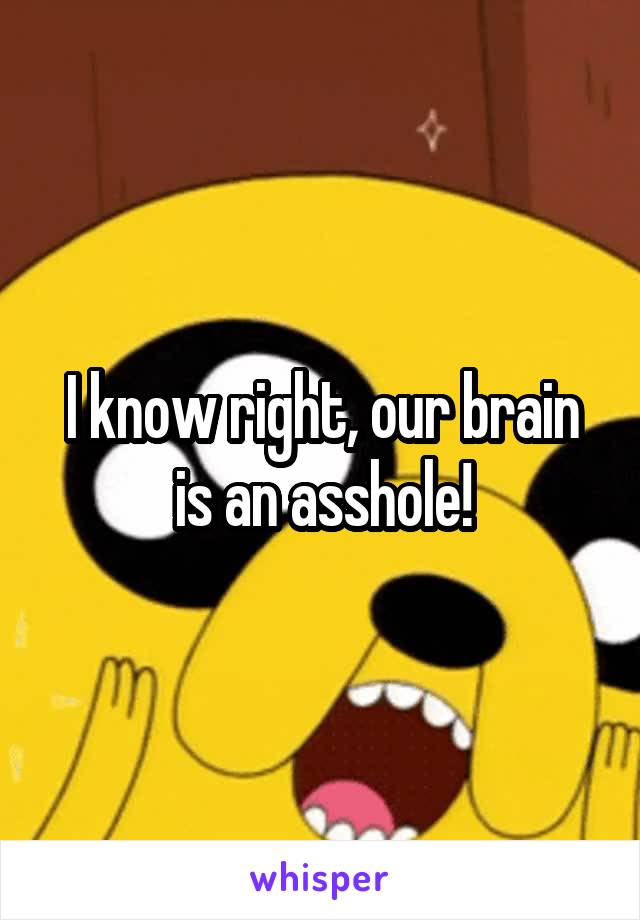 I know right, our brain is an asshole!