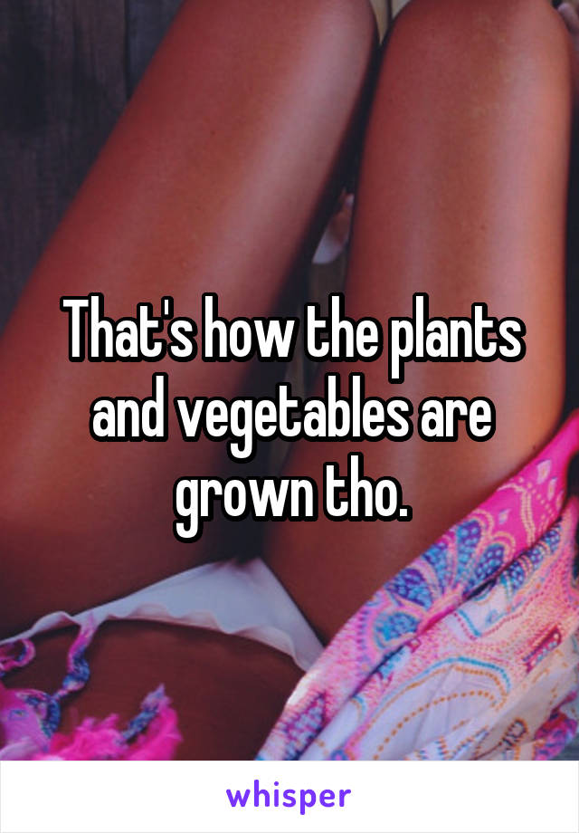 That's how the plants and vegetables are grown tho.