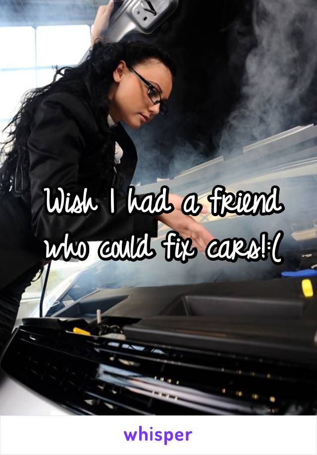 Wish I had a friend who could fix cars!:(