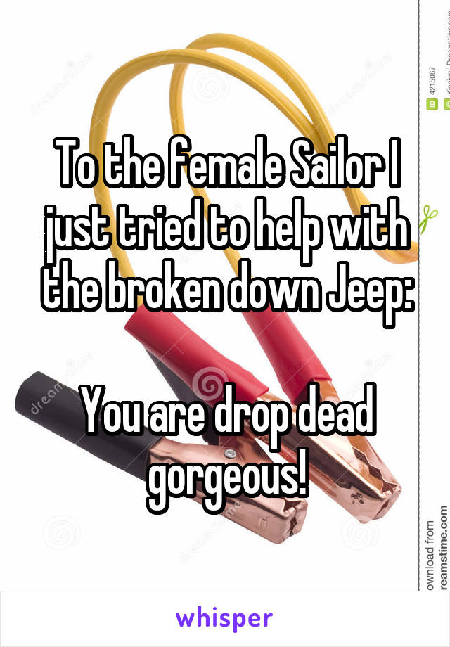 To the female Sailor I just tried to help with the broken down Jeep:

You are drop dead gorgeous!