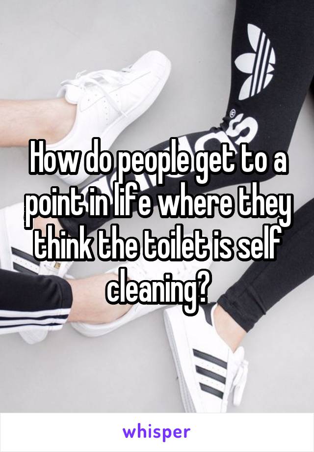 How do people get to a point in life where they think the toilet is self cleaning?