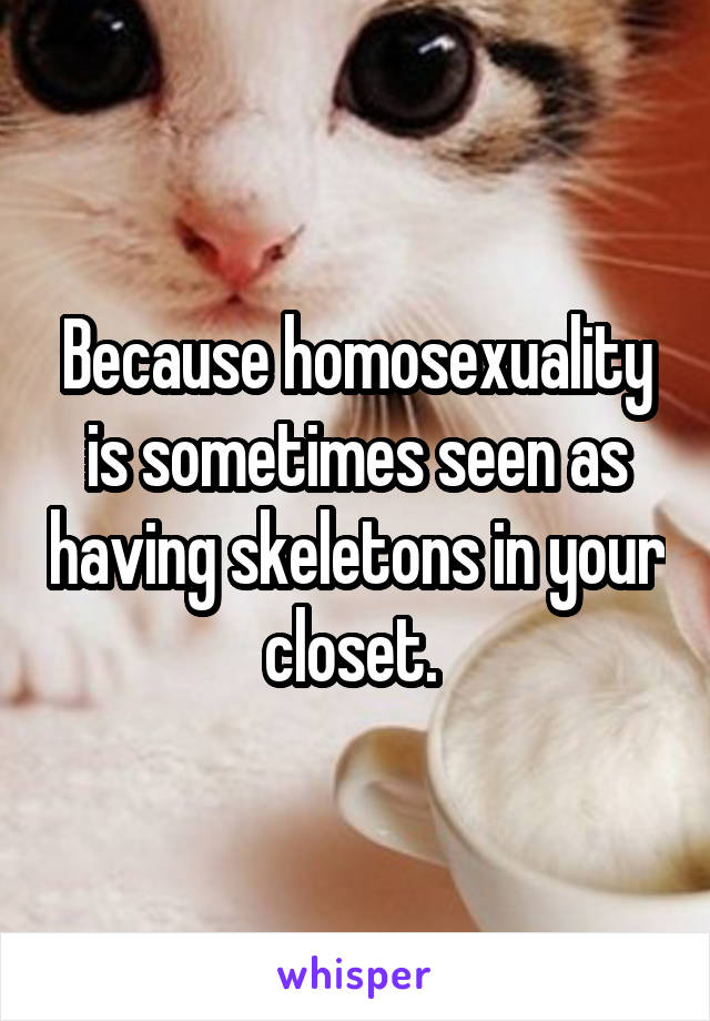 Because homosexuality is sometimes seen as having skeletons in your closet. 