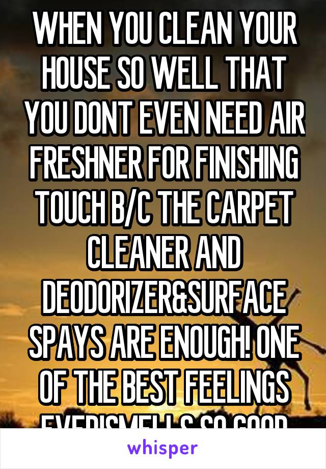 WHEN YOU CLEAN YOUR HOUSE SO WELL THAT YOU DONT EVEN NEED AIR FRESHNER FOR FINISHING TOUCH B/C THE CARPET CLEANER AND DEODORIZER&SURFACE SPAYS ARE ENOUGH! ONE OF THE BEST FEELINGS EVER!SMELLS SO GOOD
