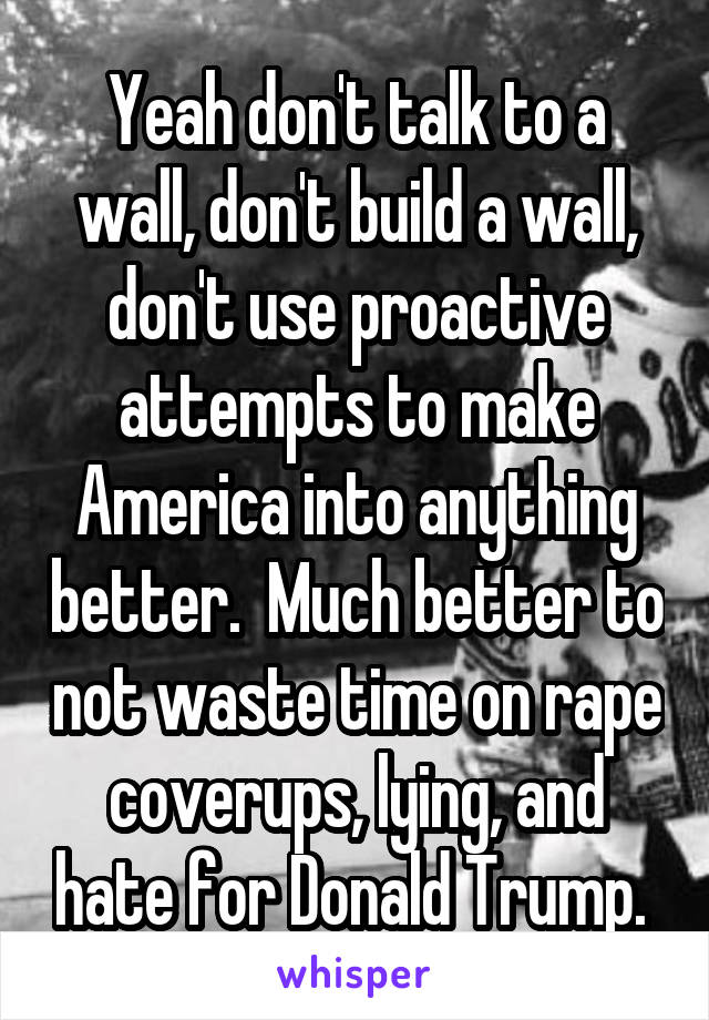 Yeah don't talk to a wall, don't build a wall, don't use proactive attempts to make America into anything better.  Much better to not waste time on rape coverups, lying, and hate for Donald Trump. 