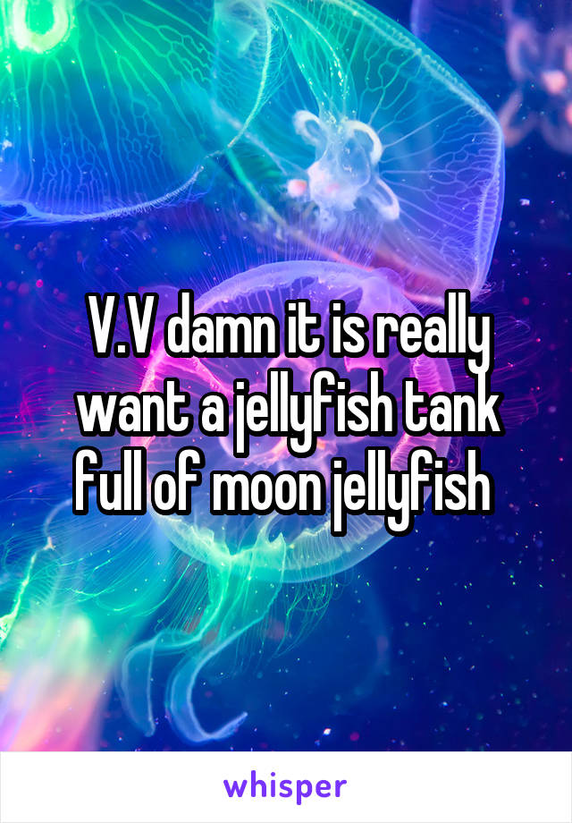 V.V damn it is really want a jellyfish tank full of moon jellyfish 