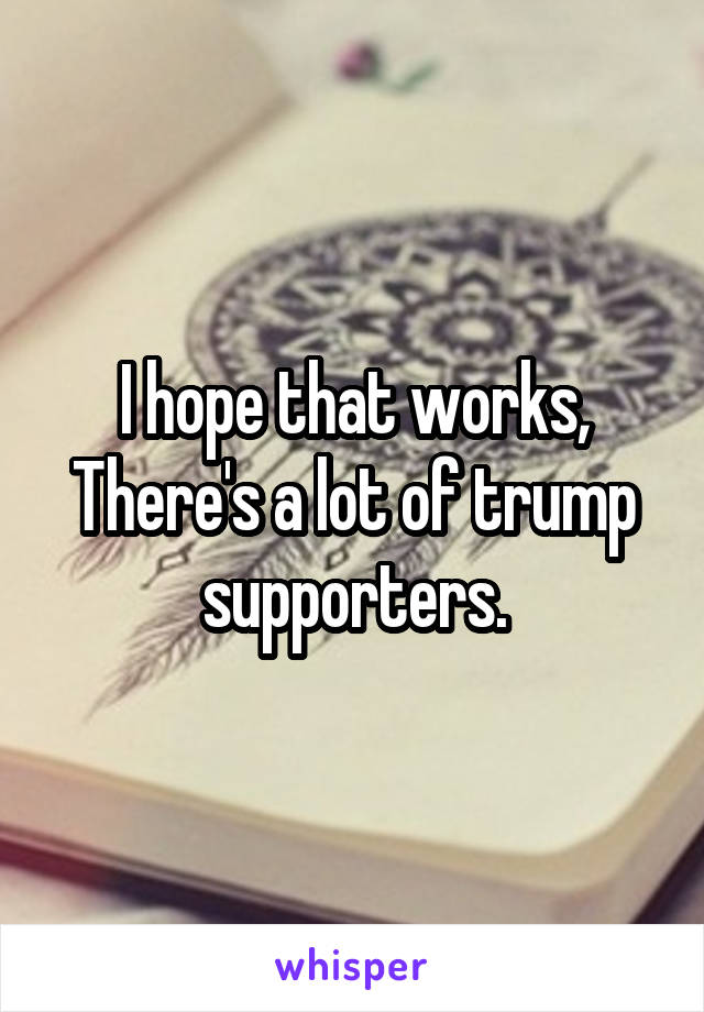I hope that works, There's a lot of trump supporters.