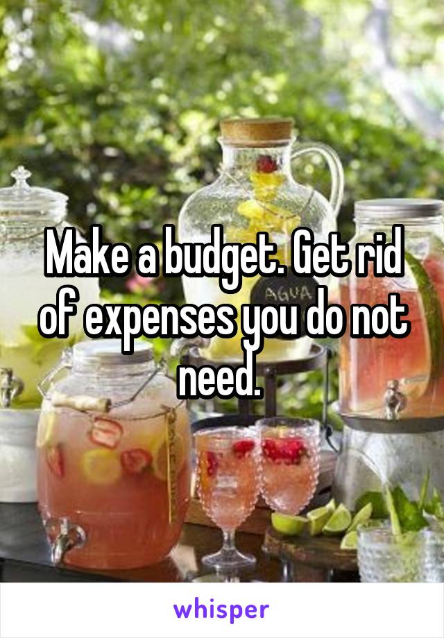 Make a budget. Get rid of expenses you do not need. 