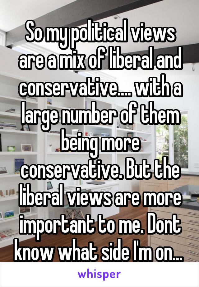 So my political views are a mix of liberal and conservative.... with a large number of them being more conservative. But the liberal views are more important to me. Dont know what side I'm on... 