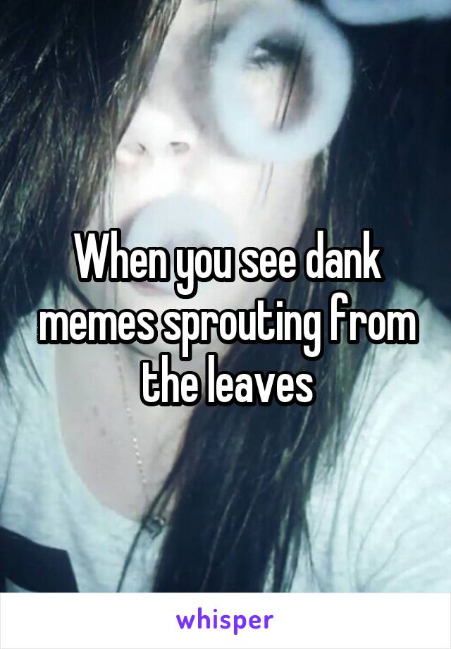 When you see dank memes sprouting from the leaves