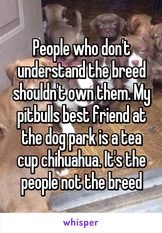 People who don't understand the breed shouldn't own them. My pitbulls best friend at the dog park is a tea cup chihuahua. It's the people not the breed