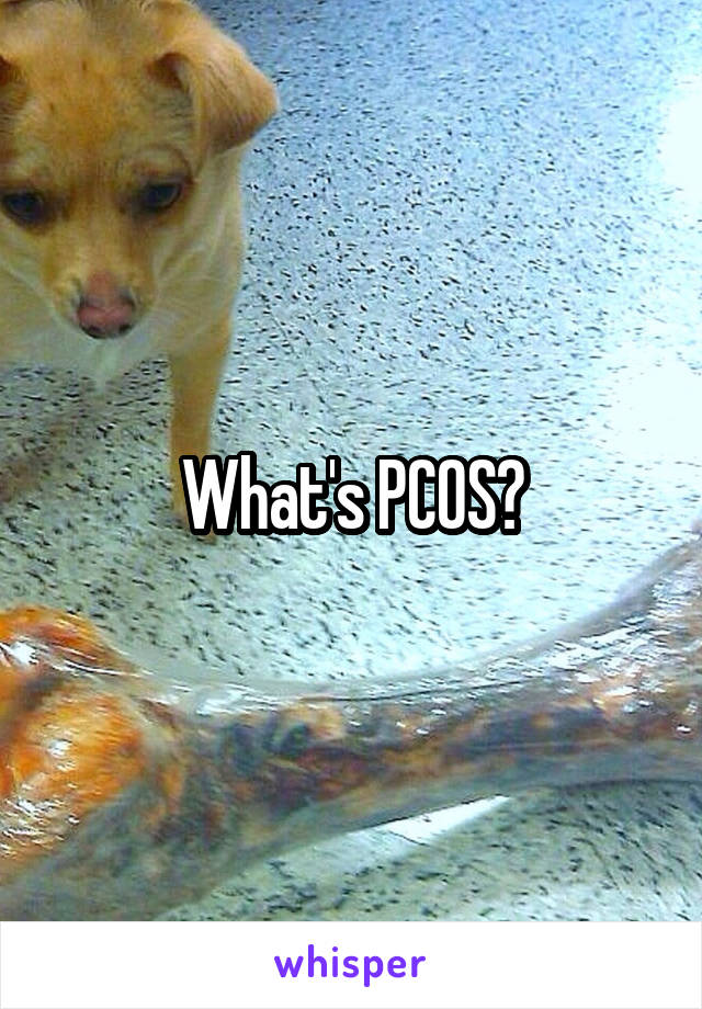 What's PCOS?