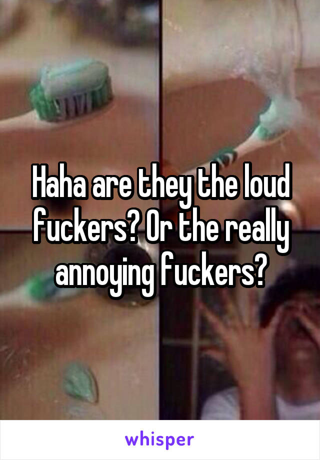 Haha are they the loud fuckers? Or the really annoying fuckers?