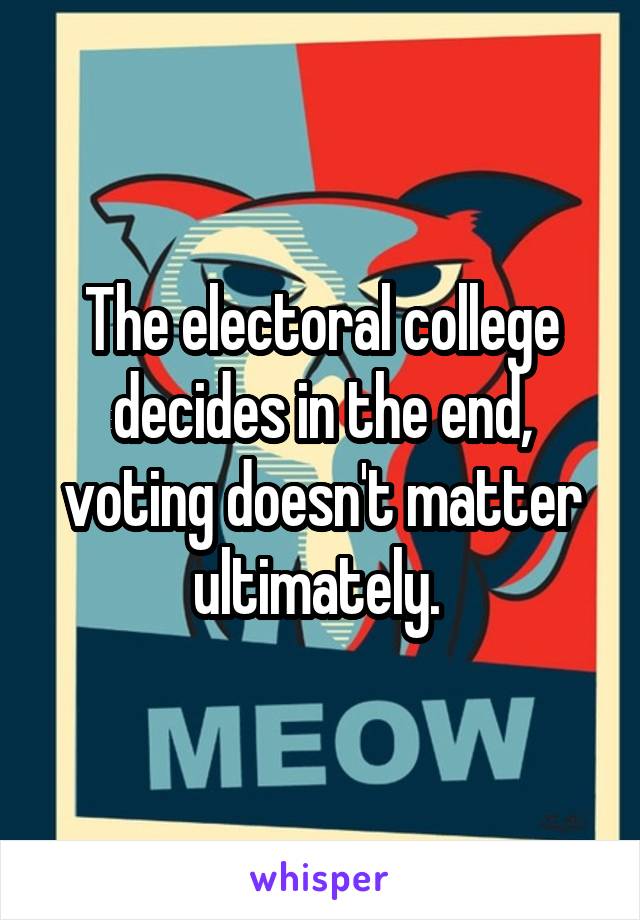 The electoral college decides in the end, voting doesn't matter ultimately. 