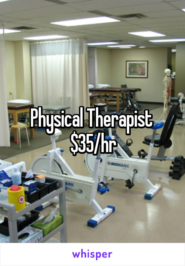 Physical Therapist 
$35/hr
