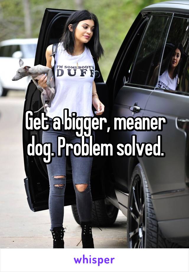 Get a bigger, meaner dog. Problem solved.
