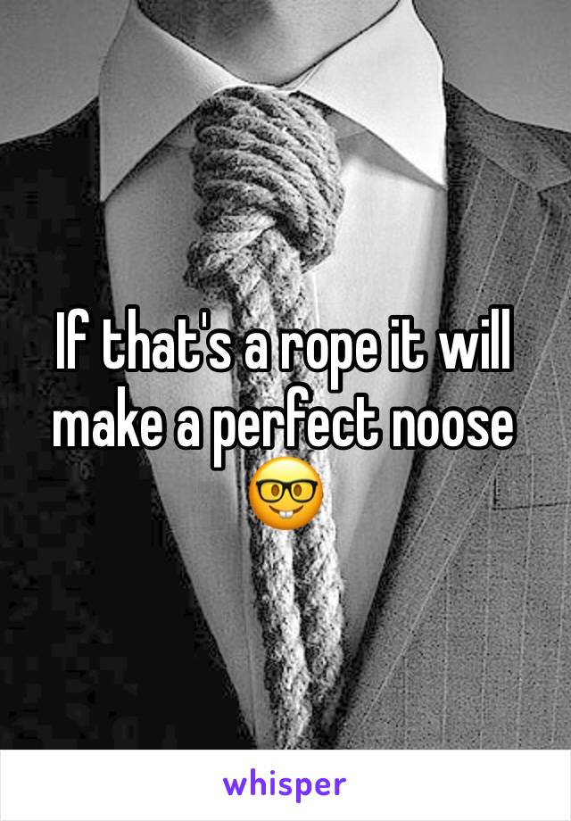 If that's a rope it will make a perfect noose
🤓