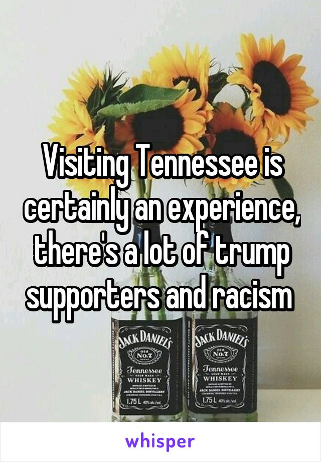 Visiting Tennessee is certainly an experience, there's a lot of trump supporters and racism 