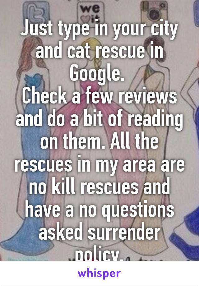 Just type in your city and cat rescue in Google. 
Check a few reviews and do a bit of reading on them. All the rescues in my area are no kill rescues and have a no questions asked surrender policy.
