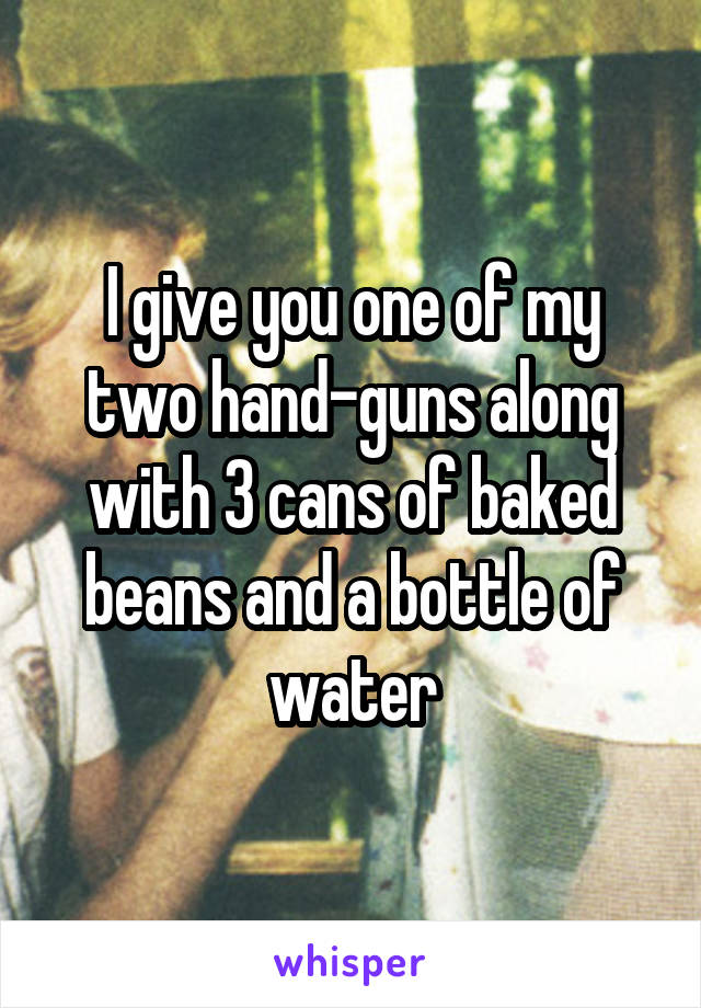 I give you one of my two hand-guns along with 3 cans of baked beans and a bottle of water