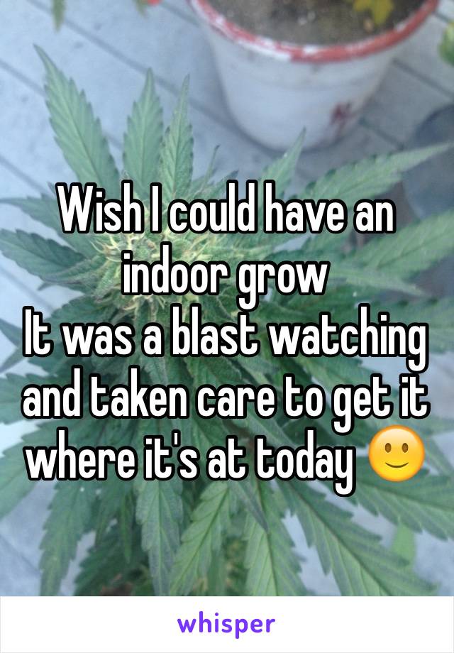 Wish I could have an indoor grow 
It was a blast watching and taken care to get it where it's at today 🙂